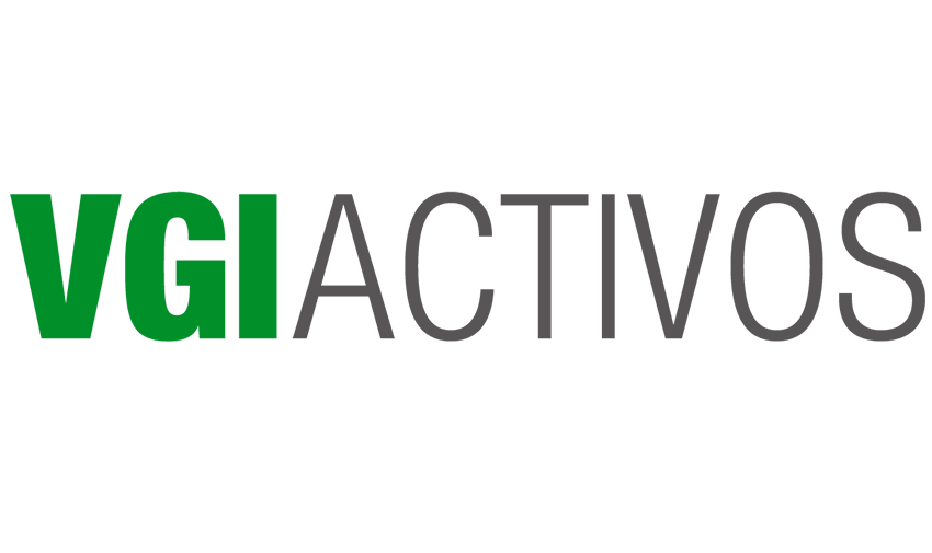 vgi-activos